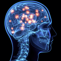 zk-300x288 zk-300x288